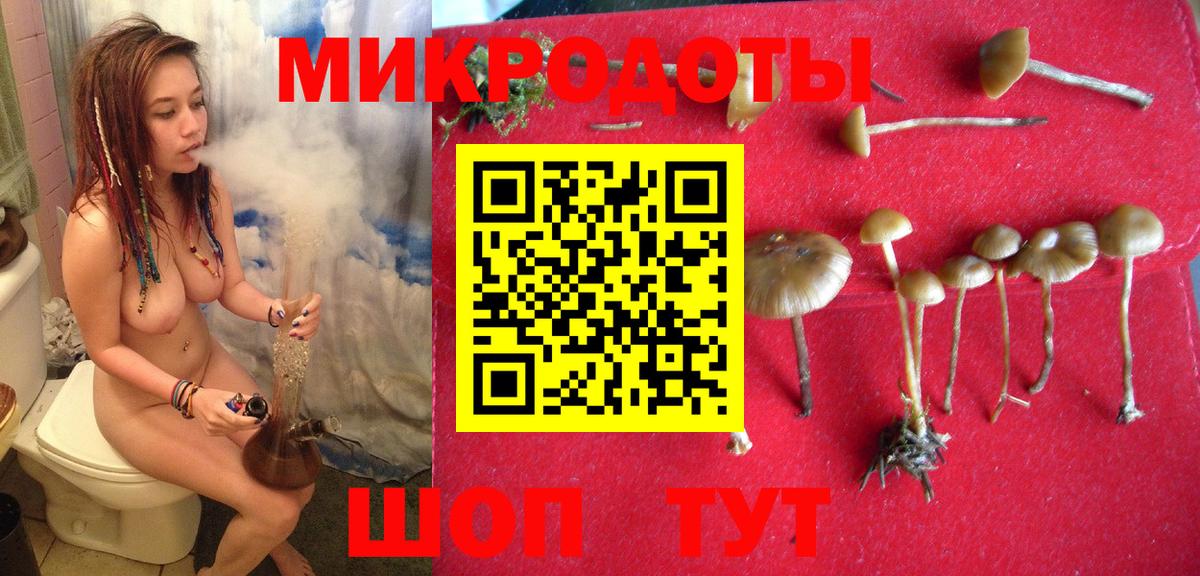 Шахты  Псилоцибиновые грибы ЛСД  Галлюциногенные грибы GOLDEN TEACHER  Вход с VPN 